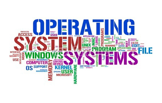 wich-is-the-operating-system-1
